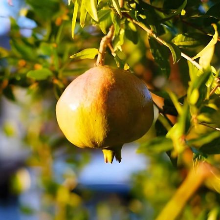 Luna D'Agerola Εξωτερικό φωτογραφία