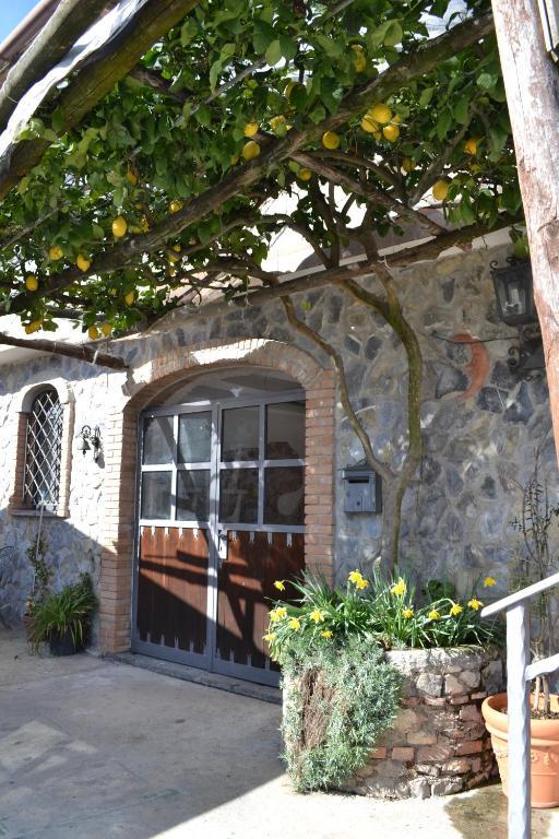 Luna D'Agerola Δωμάτιο φωτογραφία